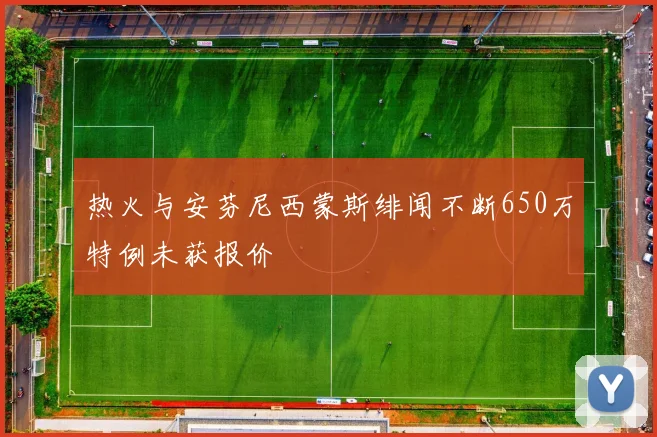 热火与安芬尼西蒙斯绯闻不断650万特例未获报价
